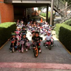 bicis